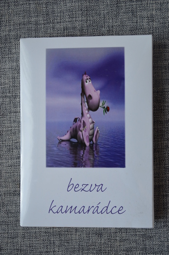 B002 Dárková bonboniéra - bezva kamarádce.JPG