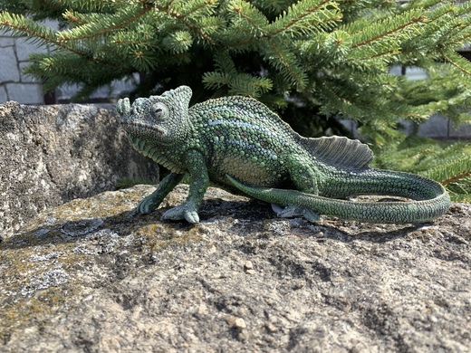 Chameleon malý.jpeg