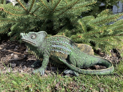 Chameleon - velký.jpeg