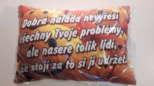 05 Polštář s popisem