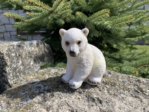 Medvěd lední - malý.jpeg