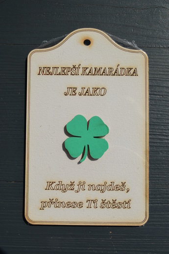 Závěsná destička (05).JPG